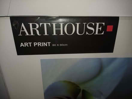 Photo of free Poster size orchid picture (Hyson Green NG7) #2