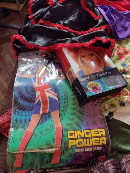 Photo of free Large bag of fancy dress items. Adult sizes (Pokesdown BH5) #2