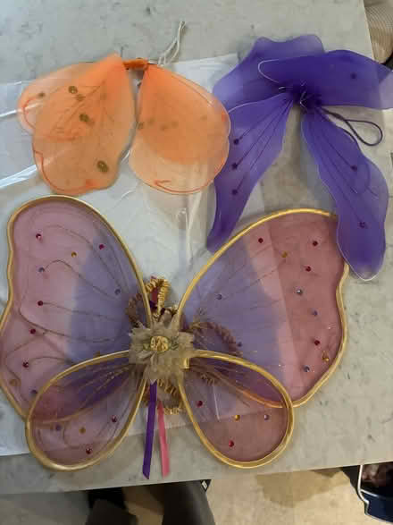 Photo of free Child Butterfly wings for costume (Fauquier County Warrenton) #3