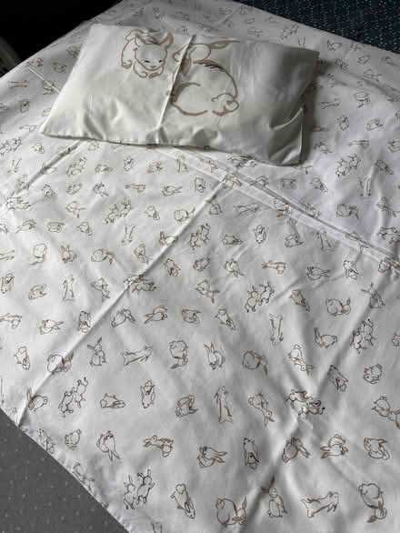 Photo of free Duvet and pillow with cover (Hackney E9) #1