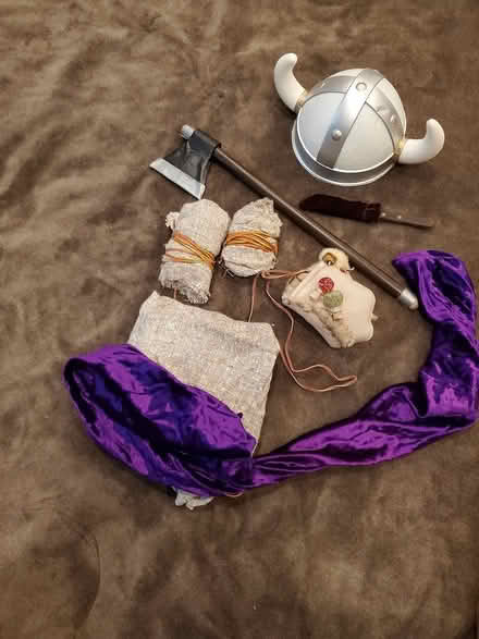 Photo of free Viking Halloween Costume (DeAnza Blvd - Stvns Crk & 280) #1