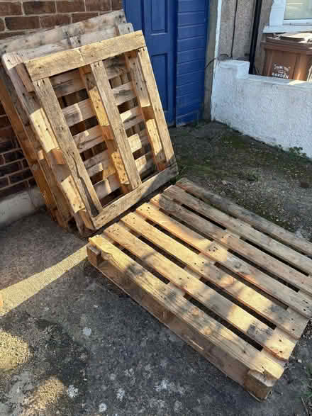 Photo of free Wooden pallets (Catford SE6) #1