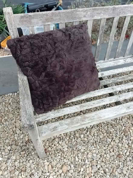 Photo of free brown fluffy cushion (Northway OX3) #1