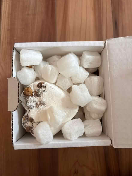 Photo of free Lush bath bombs (G31 Dennistoun) #1