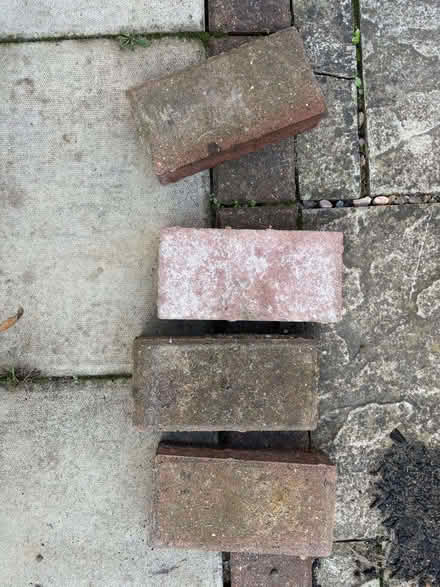 Photo of free 150 Bricks (Catford SE6) #2